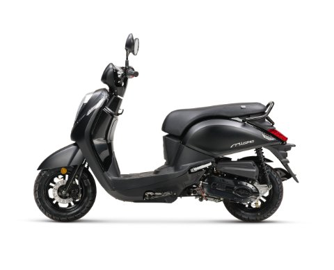 Mio 50 Euro 5 5