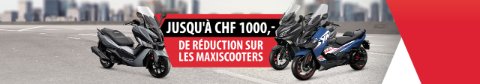 Promotion novembre